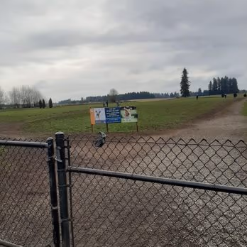 Lucky's Dog Park photo 2
